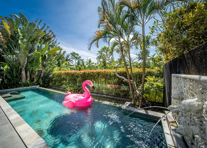 Canikaya #3 Ubud